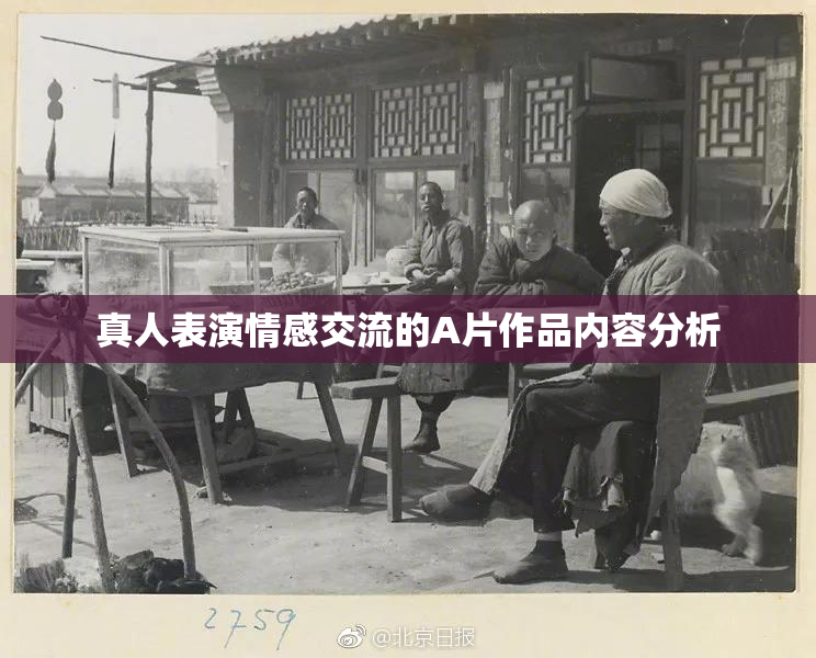 真人表演情感交流的A片作品内容分析