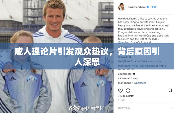 成人理论片引发观众热议，背后原因引人深思