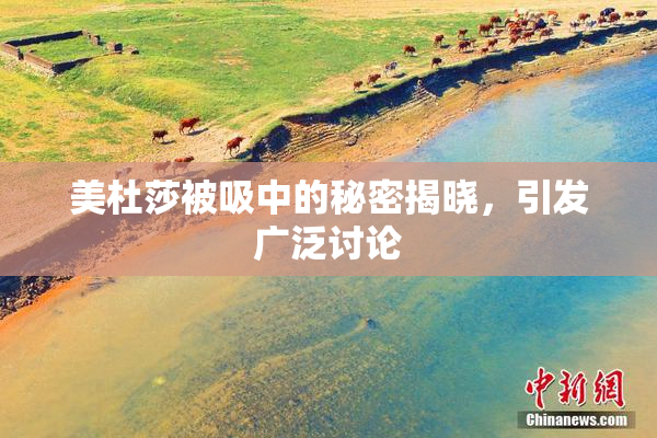 美杜莎被吸中的秘密揭晓，引发广泛讨论