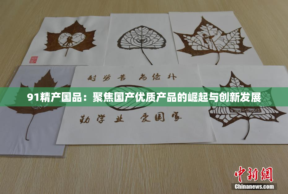 91精产国品：聚焦国产优质产品的崛起与创新发展