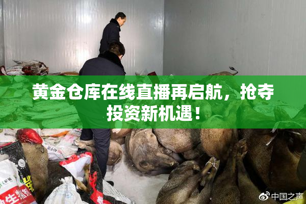 黄金仓库在线直播再启航，抢夺投资新机遇！