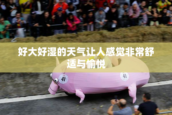 好大好湿的天气让人感觉非常舒适与愉悦