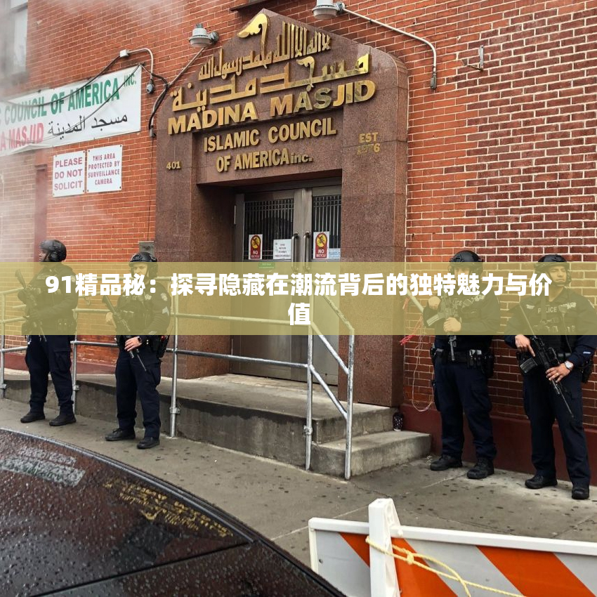 91精品秘：探寻隐藏在潮流背后的独特魅力与价值