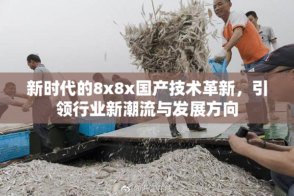 新时代的8x8x国产技术革新，引领行业新潮流与发展方向