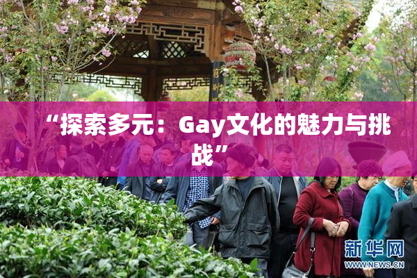 “探索多元：Gay文化的魅力与挑战”