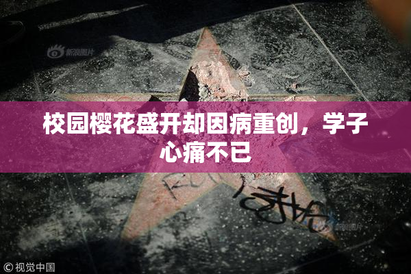 校园樱花盛开却因病重创，学子心痛不已