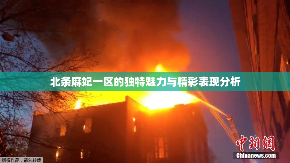 北条麻妃一区的独特魅力与精彩表现分析