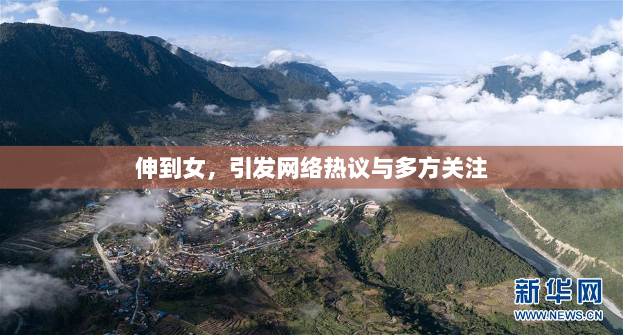 伸到女，引发网络热议与多方关注