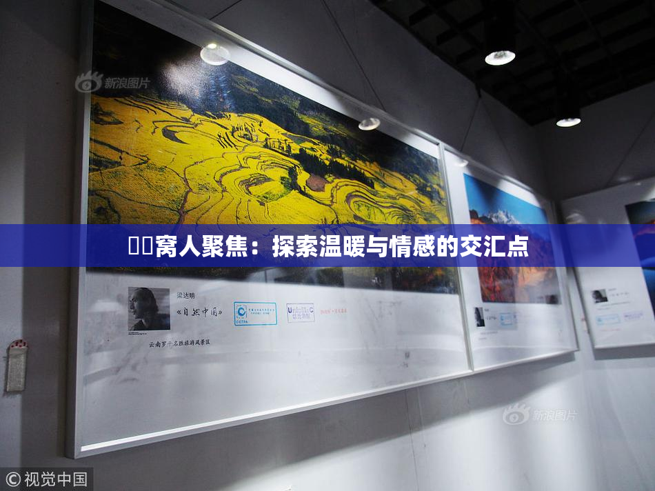 妺妺窝人聚焦：探索温暖与情感的交汇点