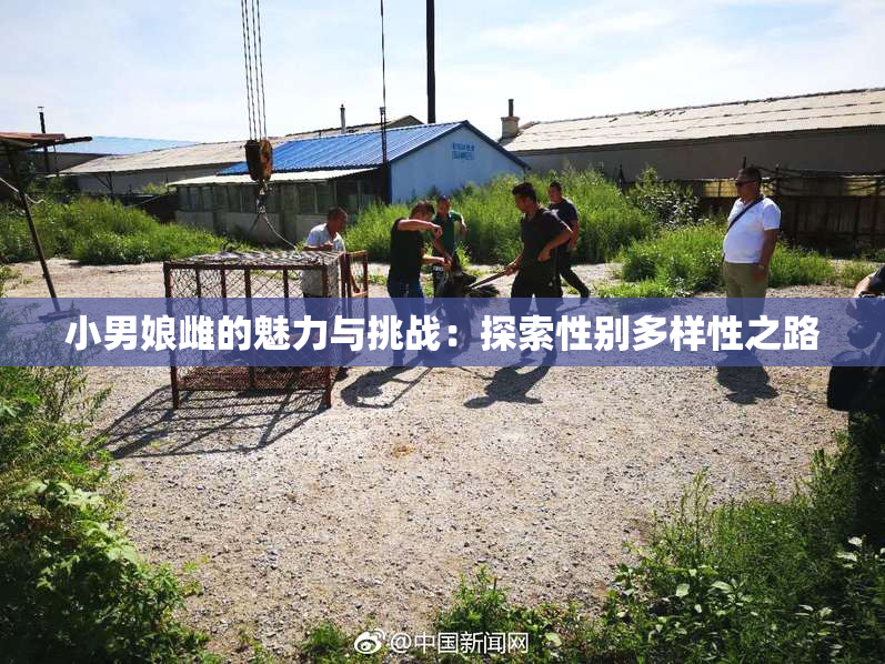 小男娘雌的魅力与挑战：探索性别多样性之路