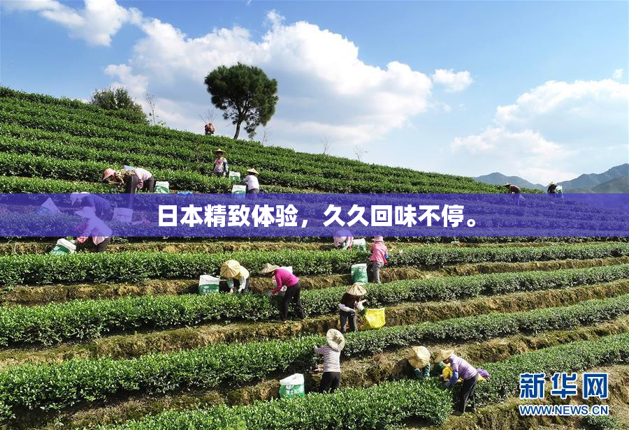 日本精致体验，久久回味不停。