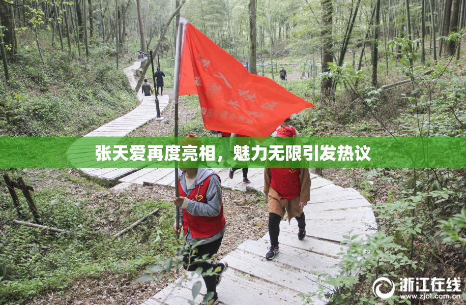 张天爱再度亮相，魅力无限引发热议