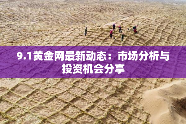 9.1黄金网最新动态：市场分析与投资机会分享