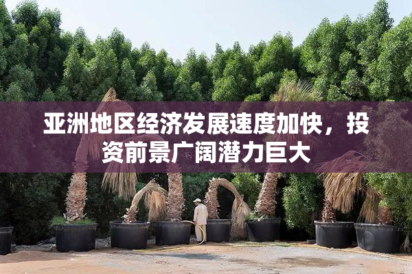 亚洲地区经济发展速度加快，投资前景广阔潜力巨大