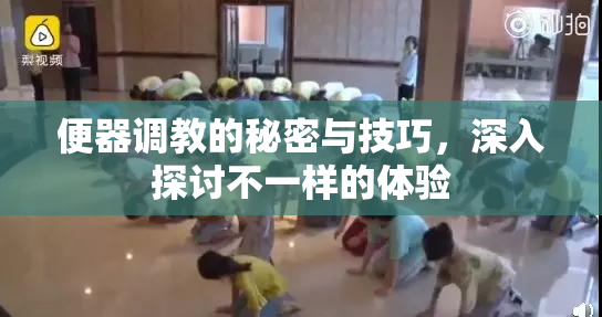 便器调教的秘密与技巧，深入探讨不一样的体验