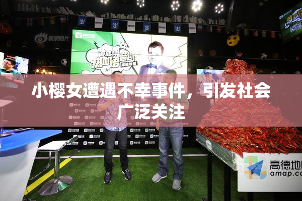 小樱女遭遇不幸事件，引发社会广泛关注