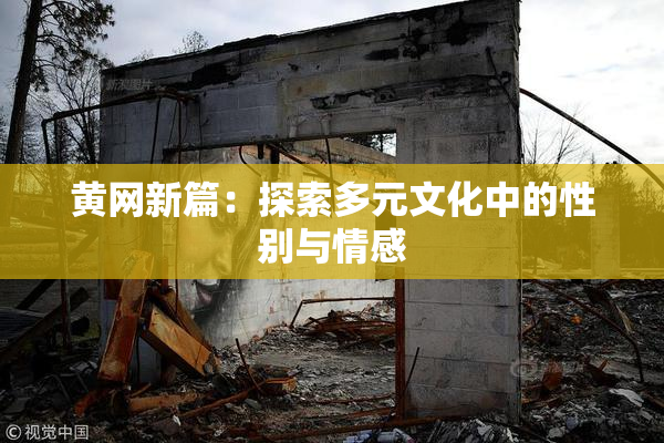 黄网新篇：探索多元文化中的性别与情感