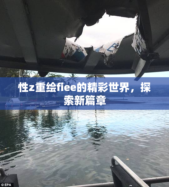 性z重绘fiee的精彩世界，探索新篇章