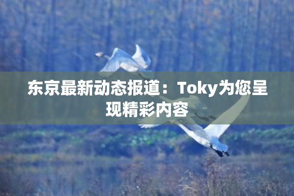 东京最新动态报道：Toky为您呈现精彩内容