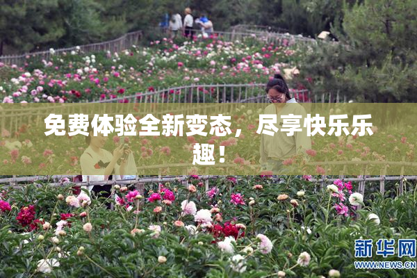 免费体验全新变态，尽享快乐乐趣！