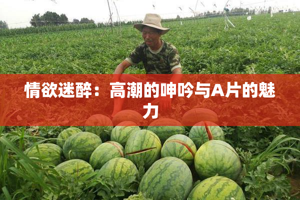 情欲迷醉：高潮的呻吟与A片的魅力