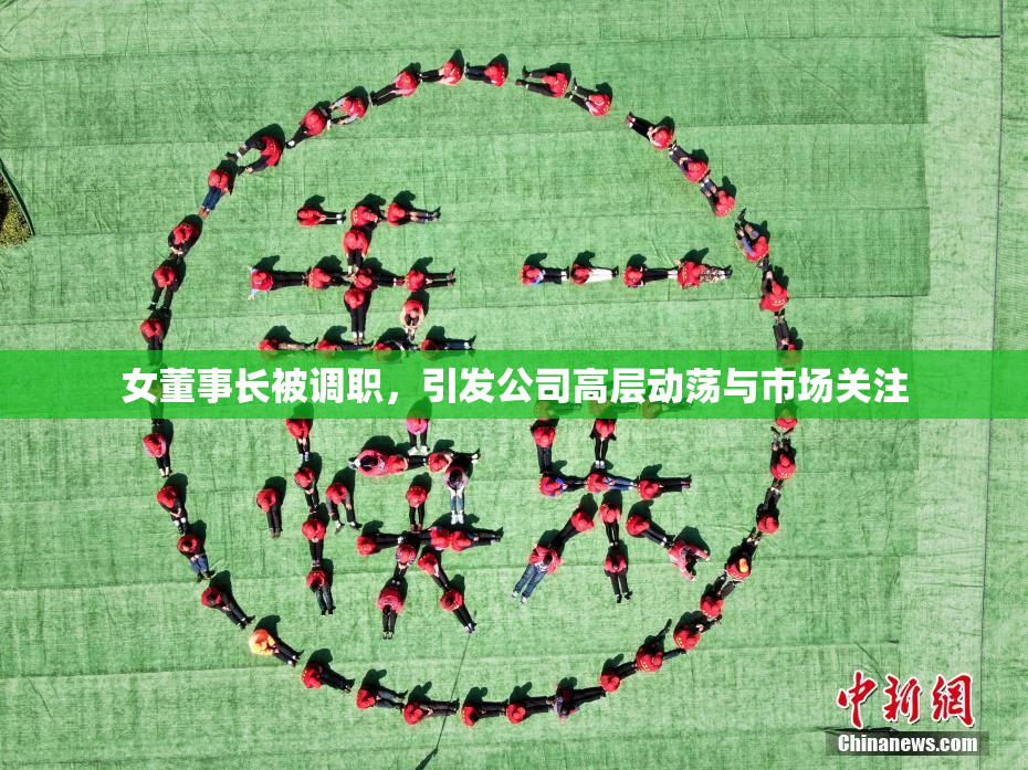 女董事长被调职，引发公司高层动荡与市场关注