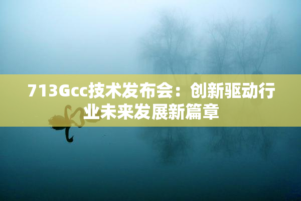 713Gcc技术发布会：创新驱动行业未来发展新篇章