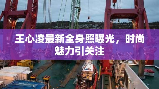 王心凌最新全身照曝光，时尚魅力引关注