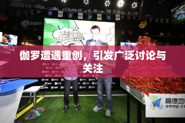 伽罗遭遇重创，引发广泛讨论与关注