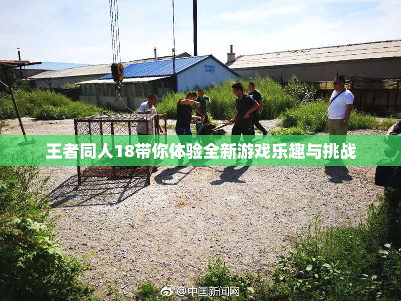 王者同人18带你体验全新游戏乐趣与挑战