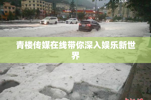 青楼传媒在线带你深入娱乐新世界