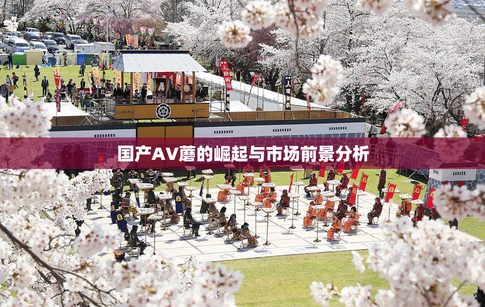 国产AV蘑的崛起与市场前景分析