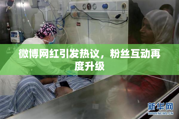 微博网红引发热议，粉丝互动再度升级