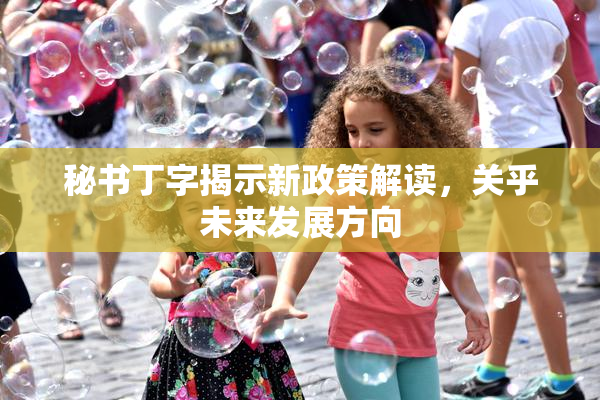 秘书丁字揭示新政策解读，关乎未来发展方向