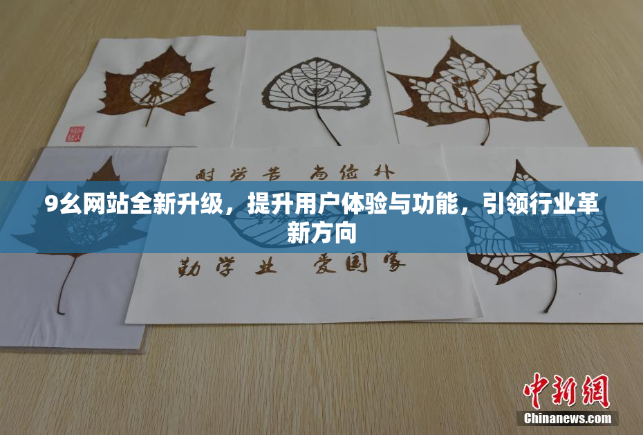 9幺网站全新升级，提升用户体验与功能，引领行业革新方向