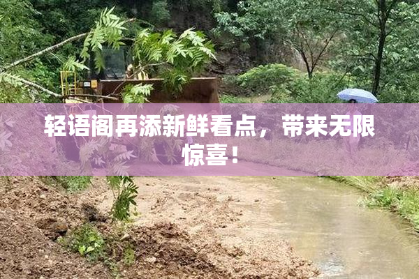 轻语阁再添新鲜看点，带来无限惊喜！
