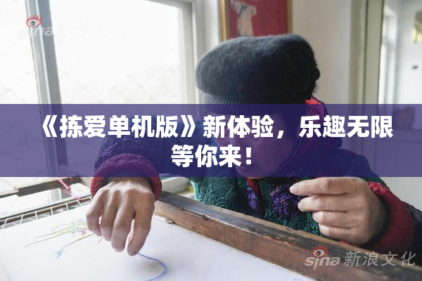 《拣爱单机版》新体验，乐趣无限等你来！