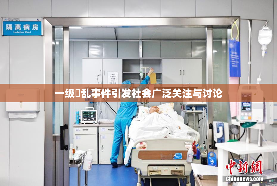 一级婬乱事件引发社会广泛关注与讨论