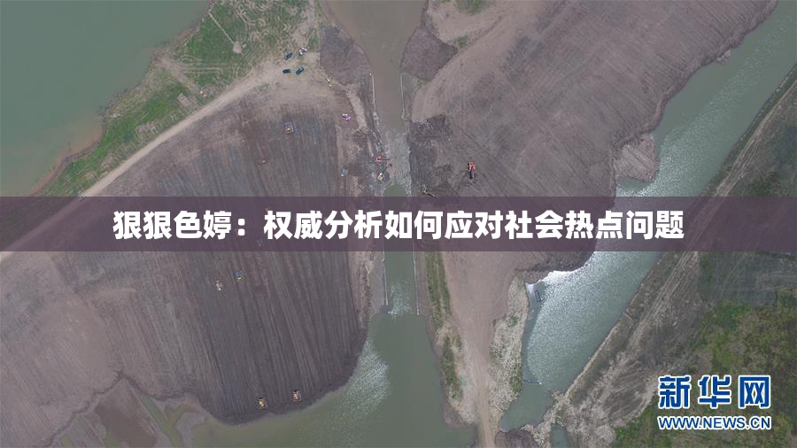狠狠色婷：权威分析如何应对社会热点问题