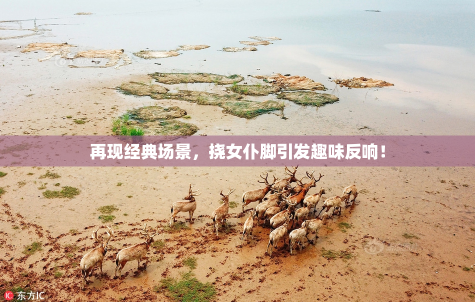 再现经典场景，挠女仆脚引发趣味反响！