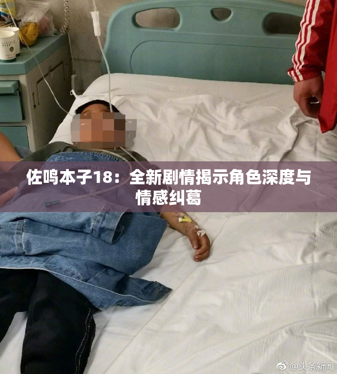 佐鸣本子18：全新剧情揭示角色深度与情感纠葛
