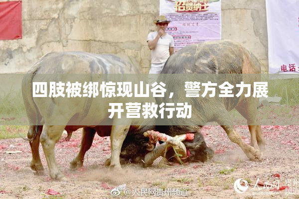四肢被绑惊现山谷，警方全力展开营救行动