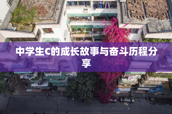 中学生C的成长故事与奋斗历程分享