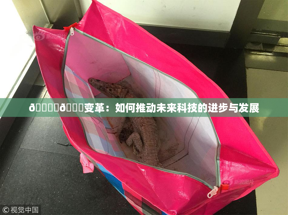 🔞‌🍌变革：如何推动未来科技的进步与发展