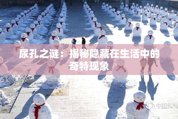 尿孔之谜：揭秘隐藏在生活中的奇特现象
