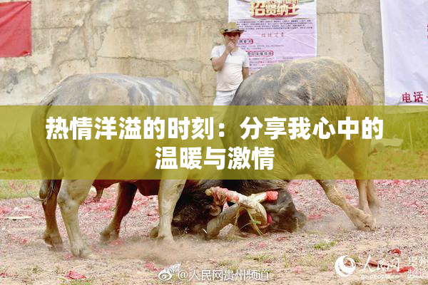 热情洋溢的时刻：分享我心中的温暖与激情