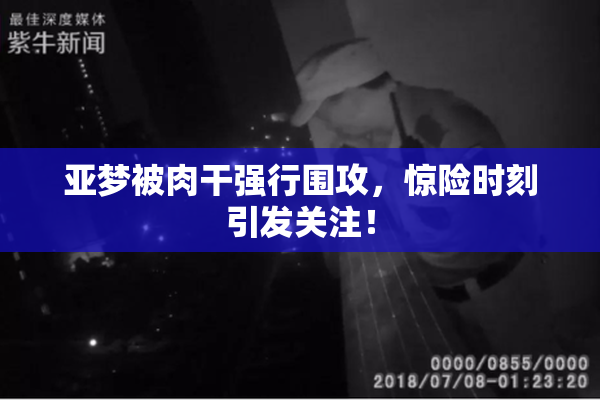 亚梦被肉干强行围攻，惊险时刻引发关注！