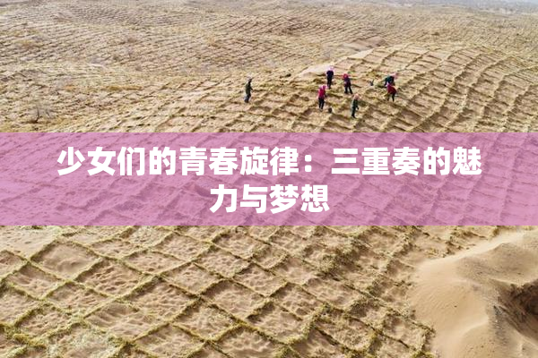 少女们的青春旋律：三重奏的魅力与梦想