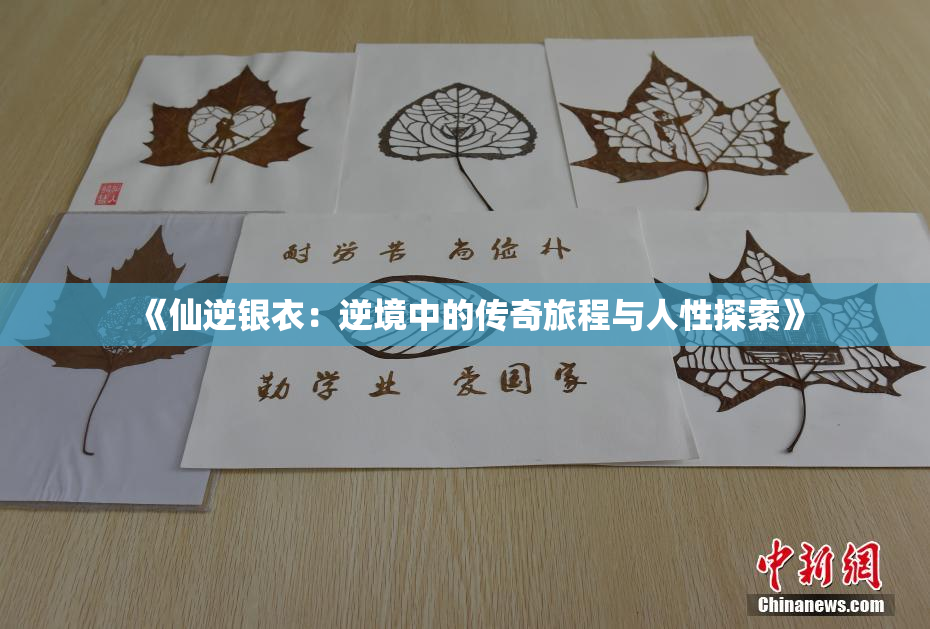 《仙逆银衣：逆境中的传奇旅程与人性探索》