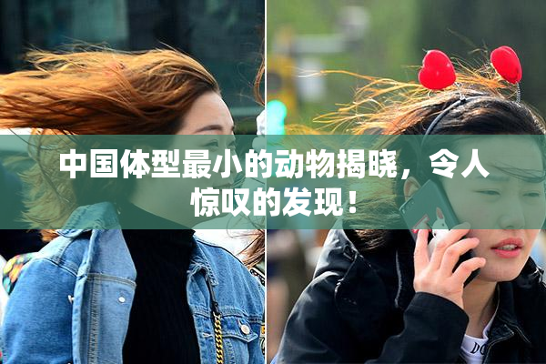 中国体型最小的动物揭晓，令人惊叹的发现！